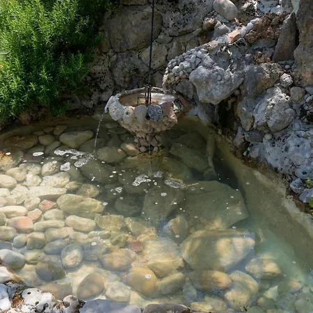 Srdanovic * أوميس