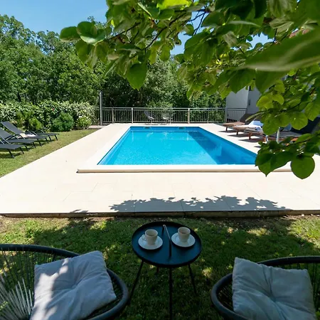 Srdanovic أوميس